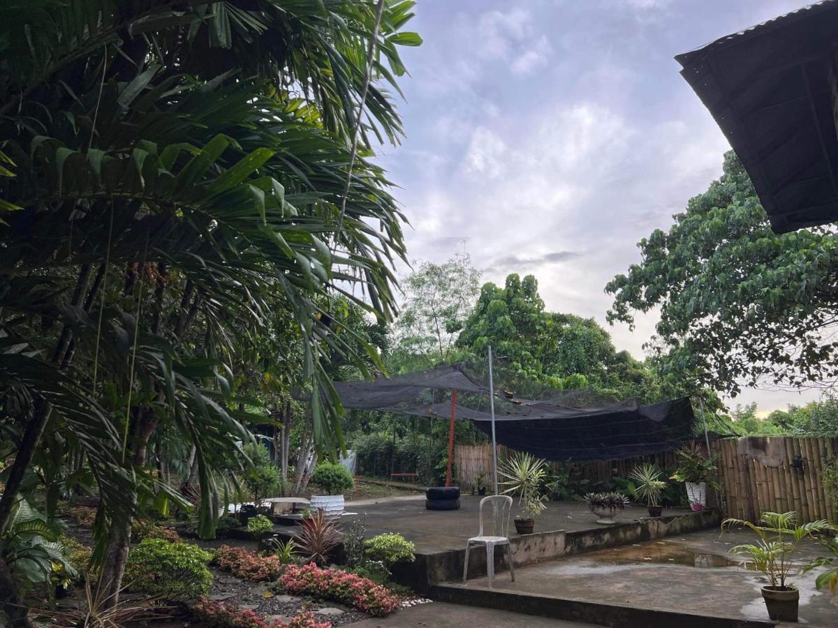 Bohol Island Homestay Dauis Exteriör bild