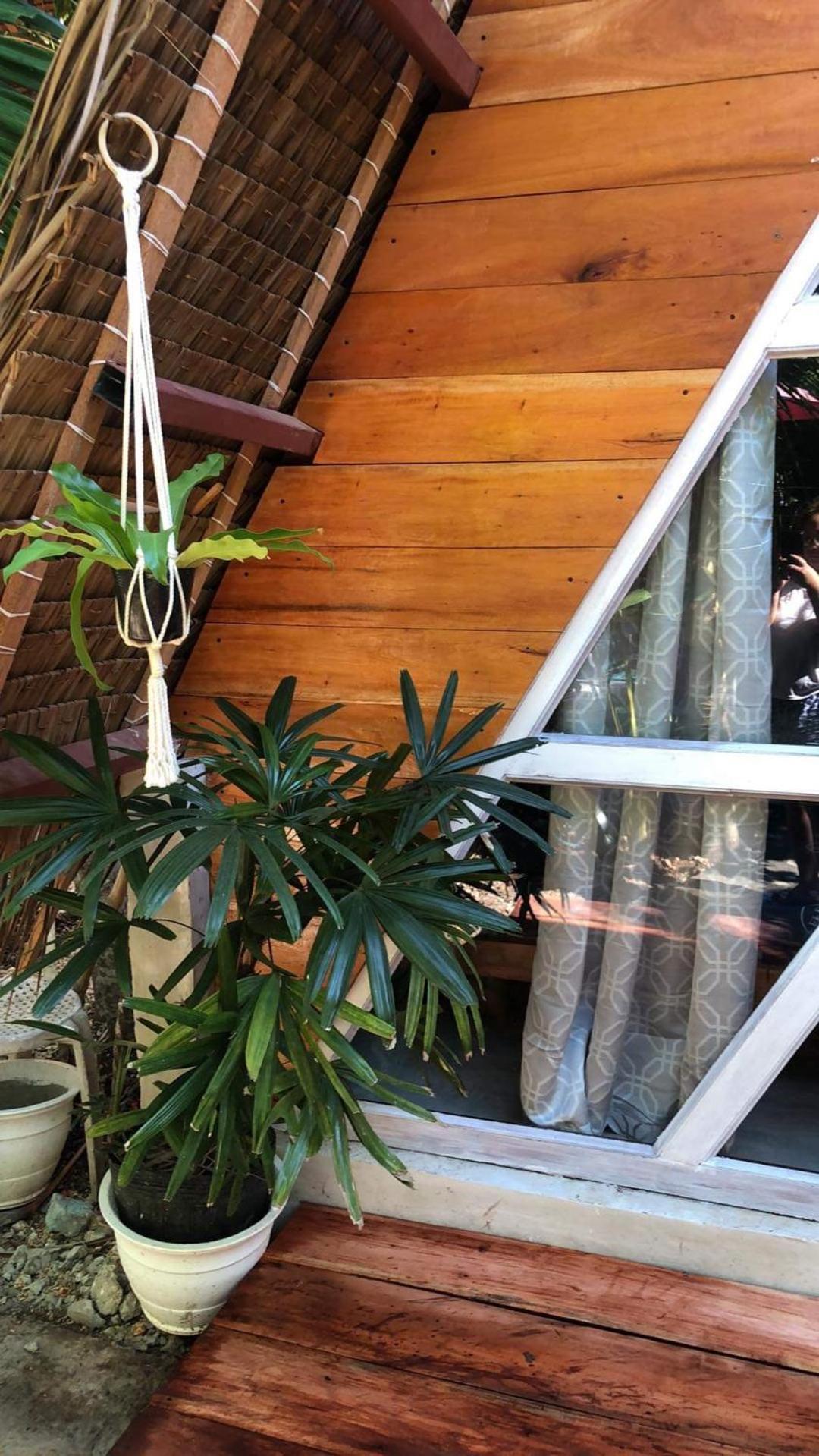 Bohol Island Homestay Dauis Exteriör bild