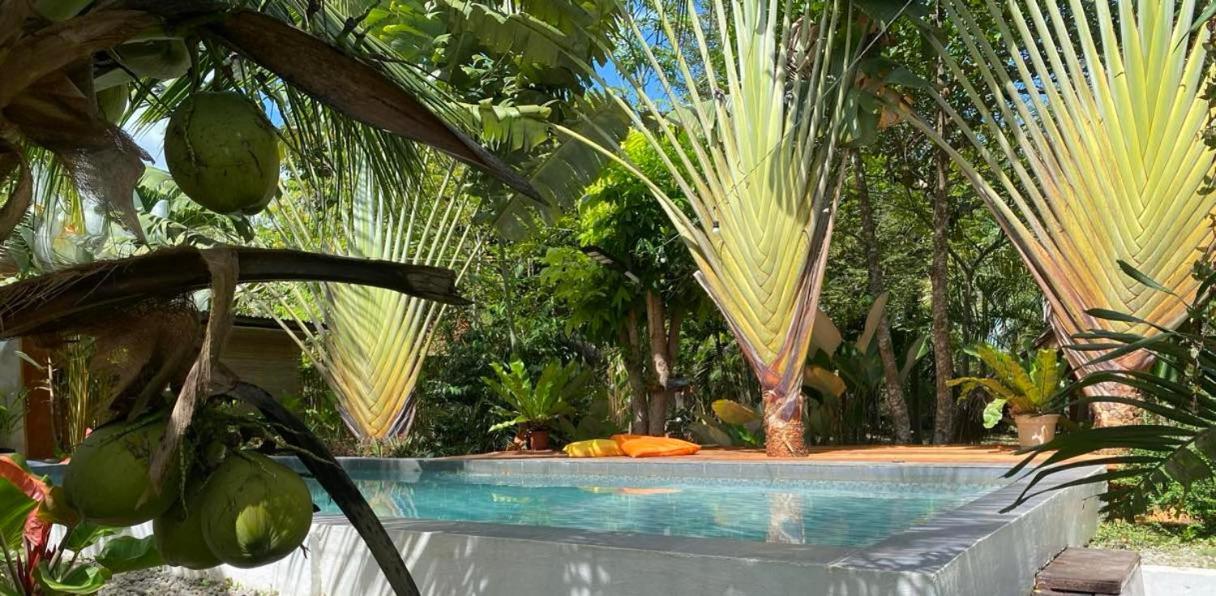 Bohol Island Homestay Dauis Exteriör bild