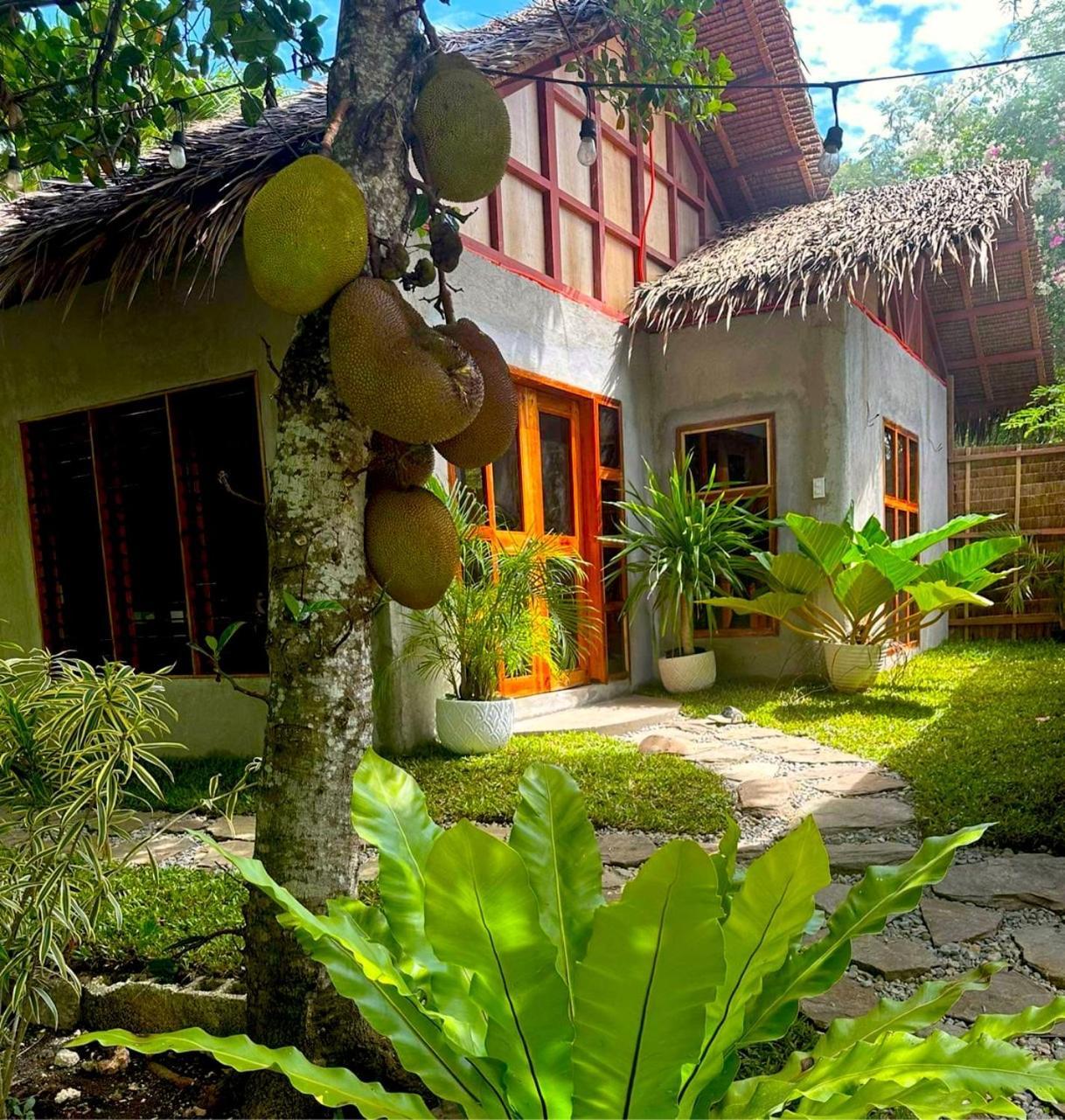 Bohol Island Homestay Dauis Exteriör bild