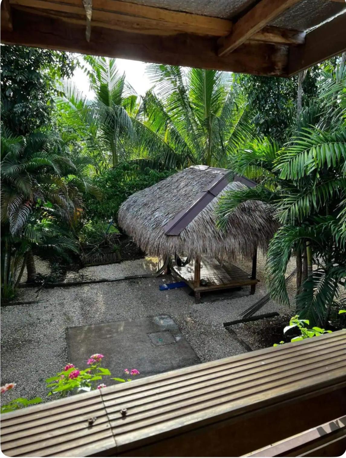 Bohol Island Homestay Dauis Exteriör bild