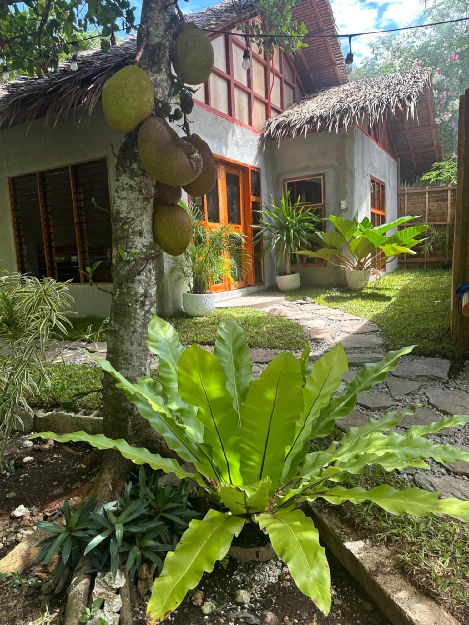 Bohol Island Homestay Dauis Exteriör bild